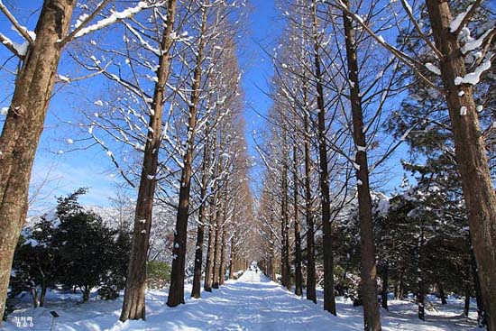  산포수목원의 설경