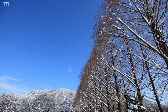  산포수목원의 설경