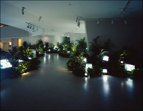 백남준 I 'TV정원(TV Garden)' 1974(2000 version) Photo: Ellen Labenski