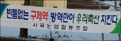  구제역을 막기위해 농민들이 발버둥 처보지만... 