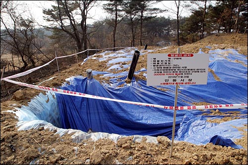  지난해 11월 29일 구제역 소를 매몰한 경북 안동시 풍천면의 한 구제역 소 매몰지.