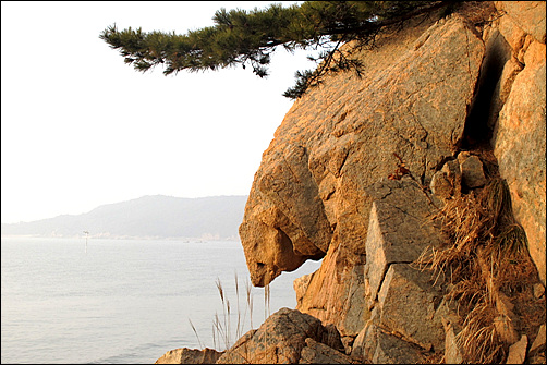 마치 거북이 형상을 한 기암괴석이 서해 바닷가로 내려오는듯한 모습이다. 