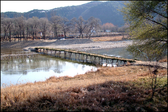 2008년 11월 30일의 섶다리. 강원도 영월군 주천면 판운2리 평창강에 놓인 섶다리