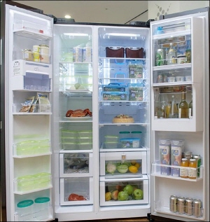 LG전자는 2011년 3월 중 세계 최대 용량인 850리터 냉장고를 출시한다고 밝혔다.