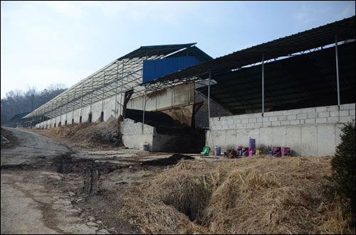 이 지역은 구제역으로 5400마리의 돼지가 생매장된 매몰지 인근으로 지난 2월 21일 가축 사체 일부가 드러나 문제가 됐던 곳이다. 