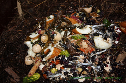 자연에서 나오는 모든 유기물은 퇴비 재료가 된다. 음식물 쓰레기와 생활쓰레기(종이,나무가지)를 한데 모아서 발열퇴비를 만들어 미생물 배양액과 함께 흙 위에 뿌려준다.