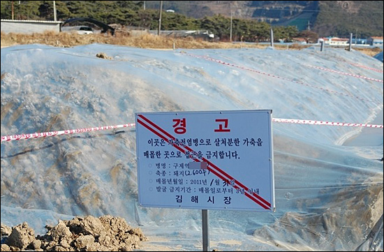 경남 김해시 한 마을에 있는 구제역 가축 매몰지 경고문.