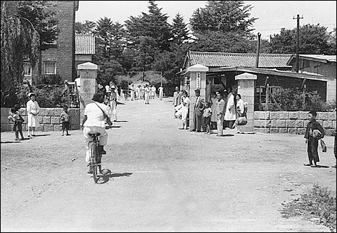간호학교 체육행사 때 농촌 보건요원 활동에 필수였던 자전거 경기하는 모습(1956년). 격세지감을 느끼게 합니다. 
