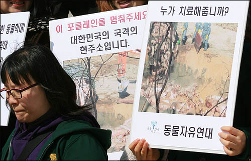 2011년 3월 10일 국회 본청 앞에서 열린 구제역 대재앙 비상시국선언대회에 참석한 동물자유연대 회원이 돼지가 생매장 되는 사진 앞에서 고개를 떨구고 있다.