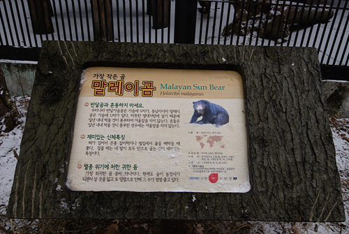 서울대공원 말레이곰 우리 앞에 있는 말레이곰에 대한 안내판, 2010년 12월 27일