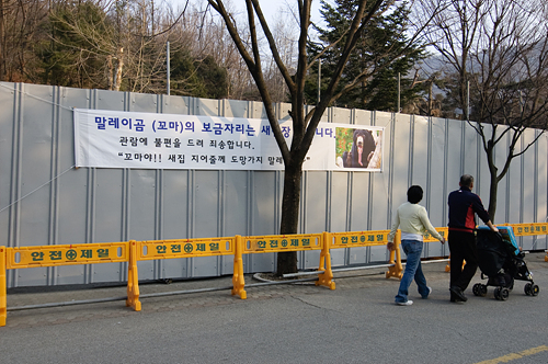 서울대공원 말레이곰 보금자리 공사를 알리는 현수막, 2011년 3월 13일. 