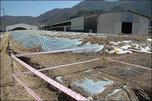 경남 김해시 주촌면 원지리에 있는 구제역 매몰지다. 사진은 공장 인근에 매몰지가 만들어져 있는 모습.