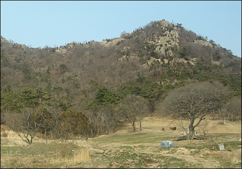간재 선생이 머물던 신시도 안골 마을에서 바라본 대각산(187.2m). 신시도는 신라 말 고운 최치원이 살던 곳으로도 유명합니다.
