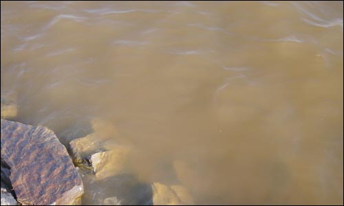 경남 창녕군 길곡면 요강마을 앞 낙동강 물가. 적조현상으로 불과 30cm깊이의 물 속도 보이지 않는다.