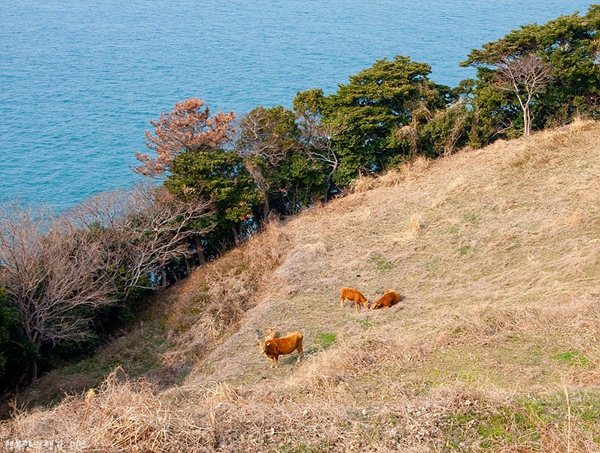 매물도