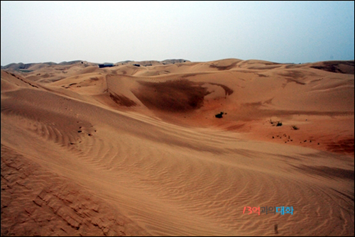 우리나라에 직접 영향을 미치는 황사의 발원지 중 하나인 쿠부치 사막 모습. 2007년 6월 21일 촬영