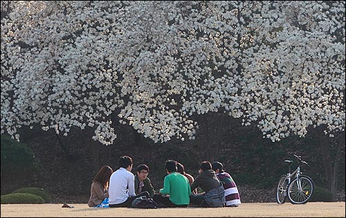 13일 오후 대전 유성구 카이스트 행정관 앞 잔디밭에서 학생들이 대화를 나누고 있다.
