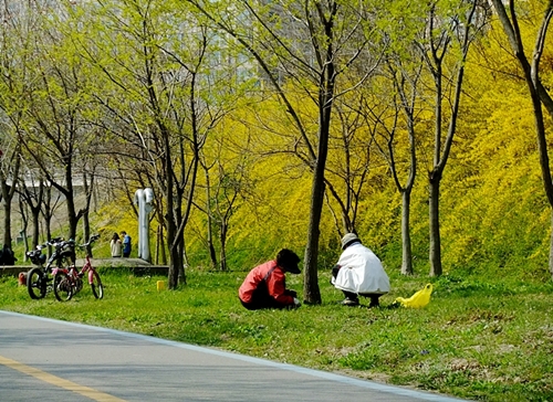 자전거를 타고 현충원을 향해 가는 한강가에는 화사한 봄 기운이 완연하다.