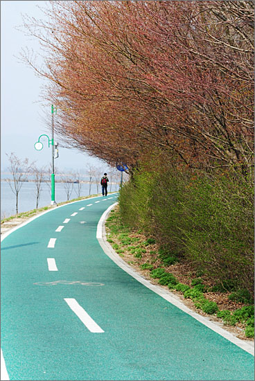 공지천 유원지 자전거도로. 붉은 색을 띠기 시작하는 단풍나무들.