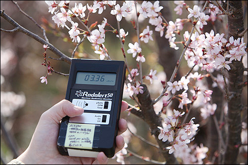 4월 16일 후쿠시마시 화견산(花見山), 시민들을 유혹하는 화견산의 방사능을 처음 계측할 때(사진) 0.336uSv/hr을 가르켰으나 이후 최고 3.66uSv/hr로 검측되었다.