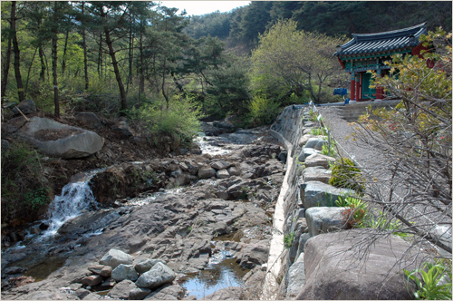 도성사계곡 도성사 옆 작은 계곡에는 흰 거품을 이는 물이 아래로, 아래로 흘러내려 가고 있다.