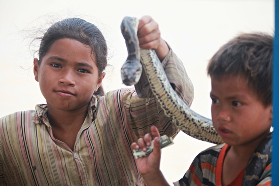 남매로 보이는 아이들이 뱀을가져와 돈을 요구합니다. 