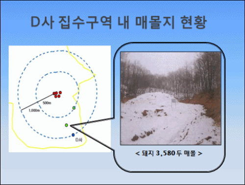  D샘물공장 집수구역 내 매몰지 현황.