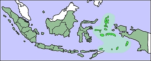 말루쿠 군도(짙은 초록색 부분).