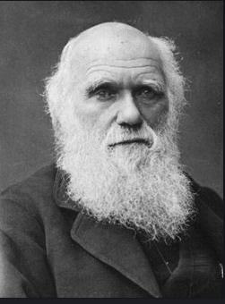 진화론의 창시자 다윈