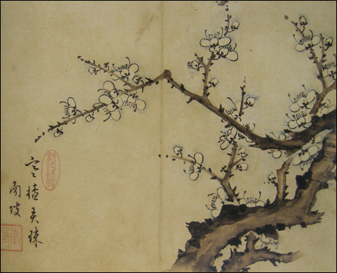 남파 이남식(1803-1878) I '한사농소(寒梭弄疎 식은 등걸이 성긴 꽃과 놀다)' 지본담채 27×22.5cm. 사대부를 상징하는 사군자의 하나인 매화그림