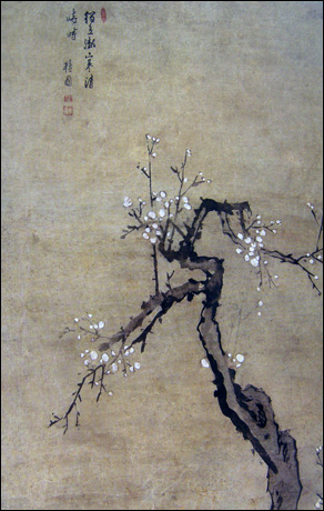 단원 김홍도(1745-1806?) I 백매 지본담채 51.5×80.2cm 회화성이 높다