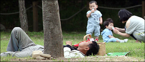  함양 상림공원.