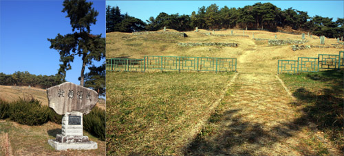 홍의장군의 무덤이 있는 곽씨 문중 묘소 (왼쪽은 입구의 창의구국 비)