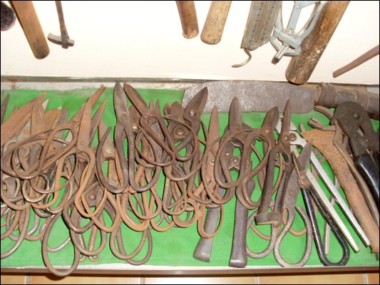 옛날 엿장사들이 엿을 자를 때 사용하던 가위와 조상이 생활의 도구로 사용하던 가위들 