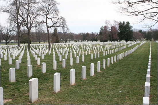 미국 참전 군인들의 무덤