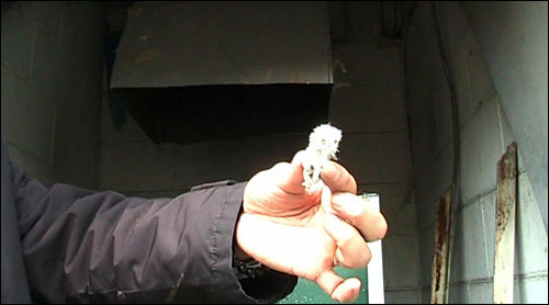 부산 도심 한복판에 있는 미군기지 하야리아 터에서 1급 발암물질인 석면이 검출됐다.
