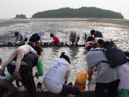 실한 갯벌, 실한 엉덩이(?) 오늘 거둔 결실을 씻기 바쁩니다. 아이 엉덩이가 보이거나 말거나...