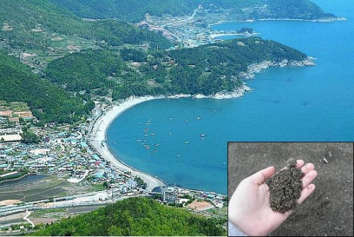 검은 모래로 유명한 만성리 해수욕장이에요. 해수욕도 즐기고 욱신거리는 몸도 다스리고, 일석이조이죠. (Manseongni beach is famous for black sand beach. It serves a double purpose of sea bathing and recovery from exhausted.)
