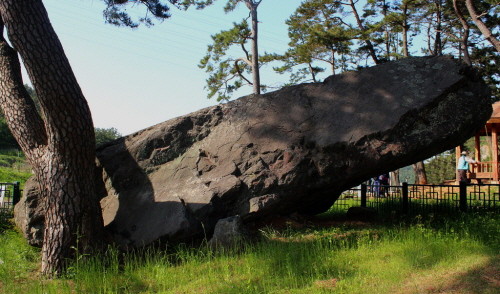  남한 최대 규모의 탁자식 고인돌인데, 우리 여수에 있어요. 길쭉한 고임돌로 기둥을 세우고 그 위에 넓적한 덮개돌을 얹었기 때문에 탁자같이 생겼다고 해서 탁자식 고인돌이라고 해요.
(This is the biggest scale of table-shaped dolmen in South Korea, and it is in Yeosu. It seems like a table composed of a pillar built with a longish stone and a wide and flat covered stone put on the pillar. So, It is called table-shaped dolmen.)
