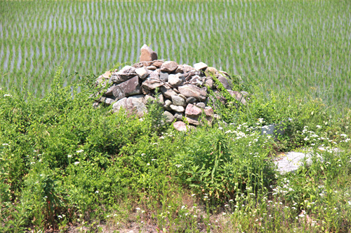 며느리당산은 마을 옆으로 흐르는 대곡천 가 논둑에 돌탑으로 쌓았다