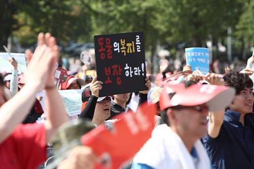  수의사단체는 동물복지는 없고 동물세금만 선진국을 따라하여 유기견을 양산 한다며 정부의 부가세정책을 규탄했다.