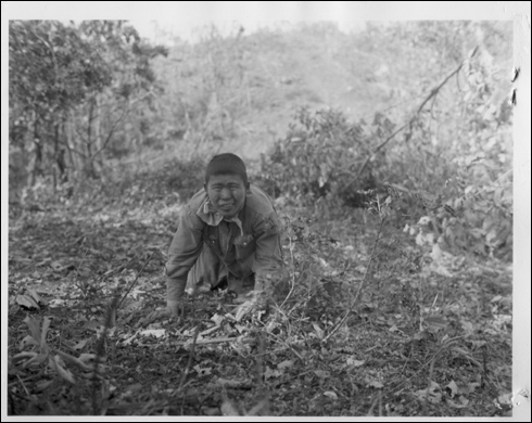 1951. 9. 20. 총구 앞에 한 북한군 병사가 짐승처럼 수풀 속에서 기어 나오고 있다.