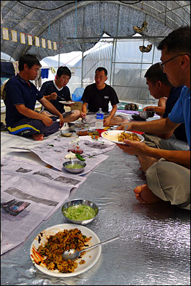 18일 오후 충남 아산시 둔포면 운용리 유성기업 인근의 한 농장 비닐하우스에서 금속노조 유성기업지회 조합원들이 점심을 먹고 있다.
