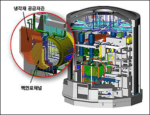 중수로 내부 중수로는 경수로와 달리 핵연료봉을 옆에서 수시로 교체할 수 있다.