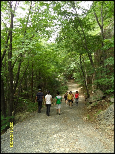 파래소 폭포 가는 길...호젓한 숲길 ...