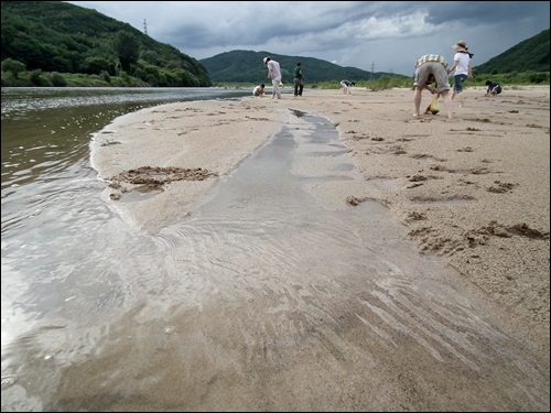 모래의 강 회천은 하류로 올수록 강물이 깨끗해 집니다. 모래가 강물을 정화하기 때문입니다. 