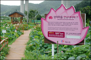 거제시 덕포동에 위치한 상덕마을 연꽃 테마파크
