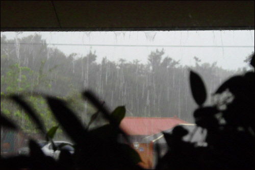 대책없이 쏟아져 내리는 게릴라 폭우(8월 11일)