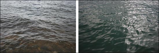 좌측이 적조가 의심되는 현상이 관찰된 시화호 우측은 시화 방조제 바깥쪽 바닷물의 색깔이다. 