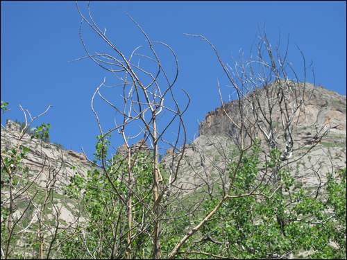 기암괴석이 둘러싼 아리아발 라마사원 풍광.